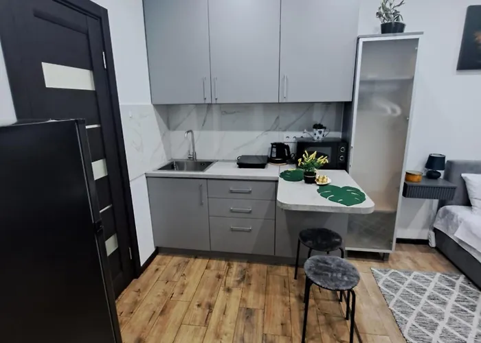Apartamento апартаминти у центрі міста Leópolis